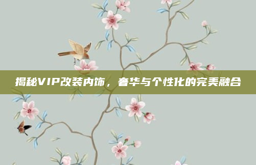 揭秘VIP改装内饰，奢华与个性化的完美融合