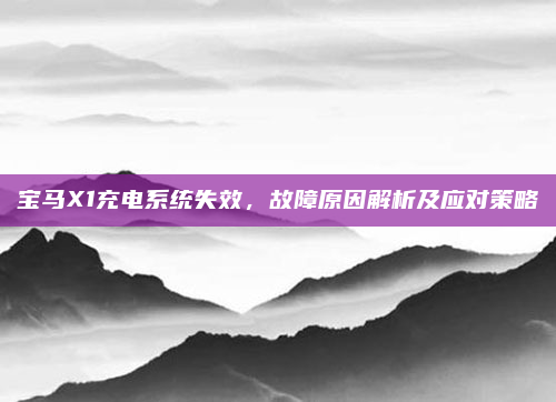 宝马X1充电系统失效，故障原因解析及应对策略