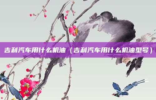 吉利汽车用什么机油（吉利汽车用什么机油型号）