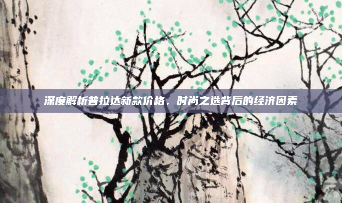 深度解析普拉达新款价格，时尚之选背后的经济因素
