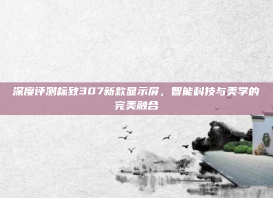 深度评测标致307新款显示屏，智能科技与美学的完美融合