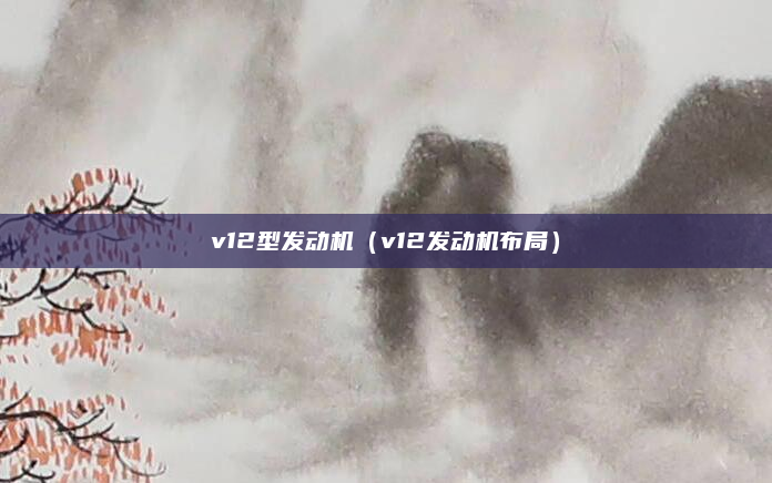 v12型发动机（v12发动机布局）