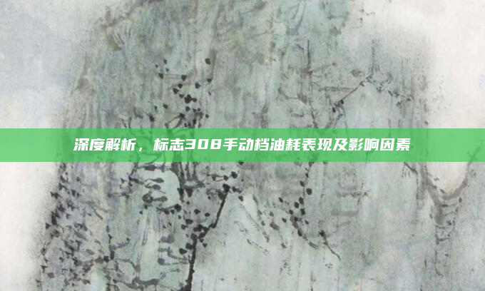 深度解析,标志308手动档油耗表现及影响因素