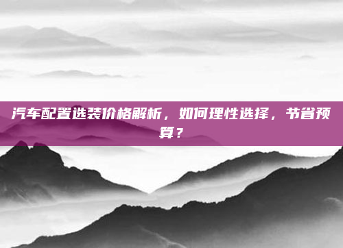汽车配置选装价格解析,如何理性选择,节省预算?