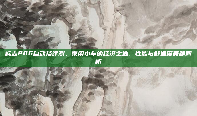 标志206自动挡评测，家用小车的经济之选，性能与舒适度兼顾解析