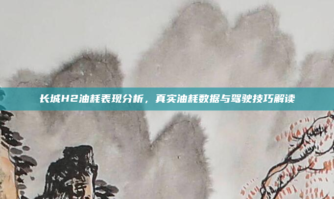 长城H2油耗表现分析,真实油耗数据与驾驶技巧解读