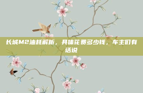长城M2油耗解析，具体花费多少钱，车主们有话说