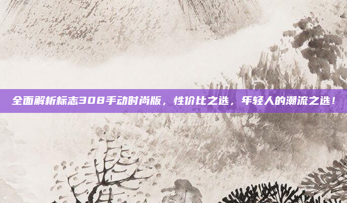 全面解析标志308手动时尚版,性价比之选,年轻人的潮流之选!