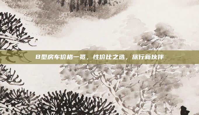 B型房车价格一览,性价比之选,旅行新伙伴