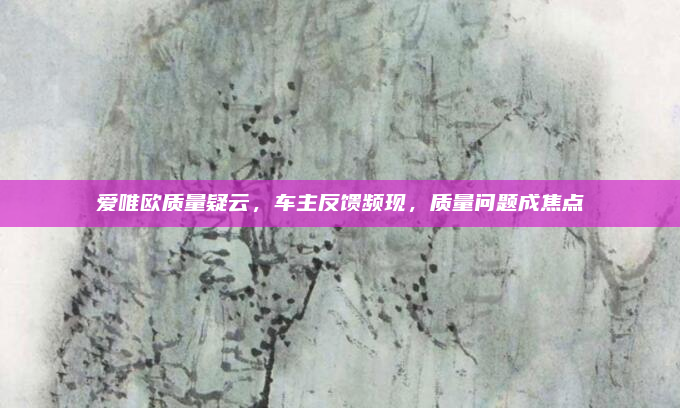 爱唯欧质量疑云，车主反馈频现，质量问题成焦点