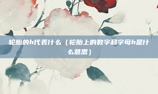 轮胎的h代表什么（轮胎上的数字和字母h是什么意思）