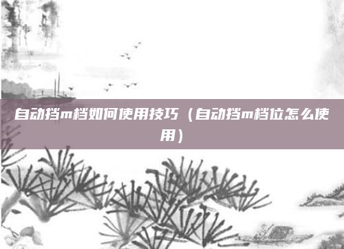 自动挡m档如何使用技巧(自动挡m档位怎么使用)