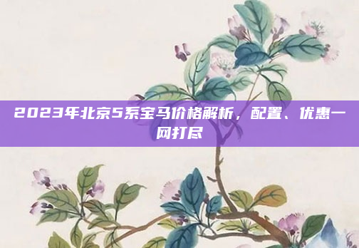 2023年北京5系宝马价格解析，配置、优惠一网打尽