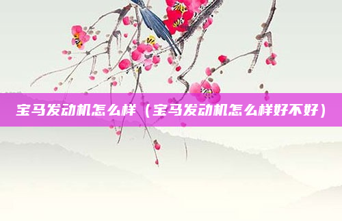 宝马发动机怎么样（宝马发动机怎么样好不好）