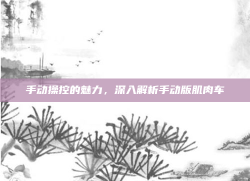 手动操控的魅力，深入解析手动版肌肉车