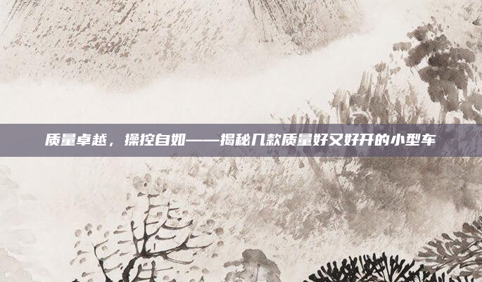 质量卓越，操控自如——揭秘几款质量好又好开的小型车
