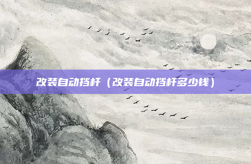 改装自动挡杆（改装自动挡杆多少钱）