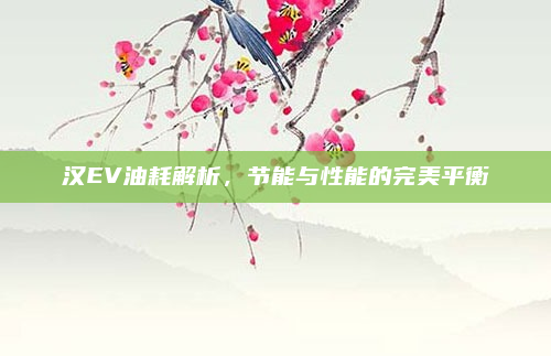 汉EV油耗解析,节能与性能的完美平衡