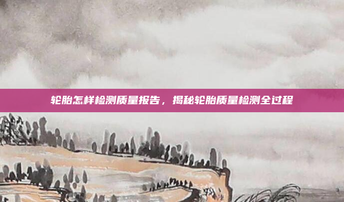 轮胎怎样检测质量报告，揭秘轮胎质量检测全过程