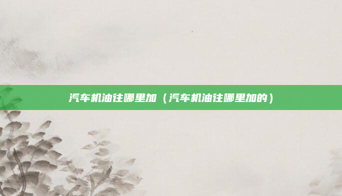 汽车机油往哪里加（汽车机油往哪里加的）