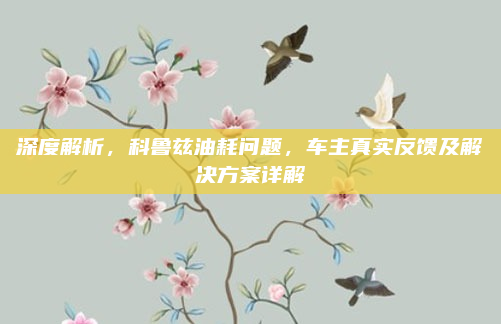 深度解析，科鲁兹油耗问题，车主真实反馈及解决方案详解