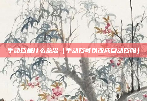 手动挡是什么意思（手动挡可以改成自动挡吗）