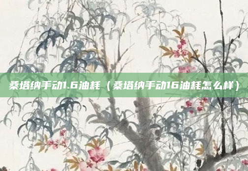 桑塔纳手动1.6油耗（桑塔纳手动16油耗怎么样）