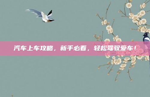 汽车上车攻略，新手必看，轻松驾驭爱车！