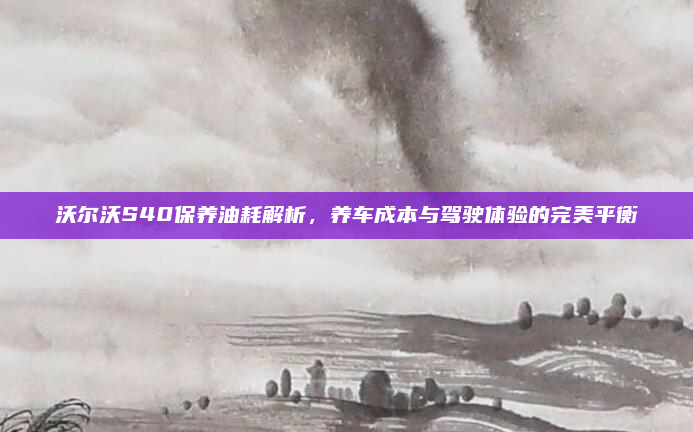 沃尔沃S40保养油耗解析，养车成本与驾驶体验的完美平衡