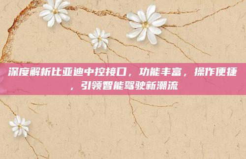 深度解析比亚迪中控接口，功能丰富，操作便捷，引领智能驾驶新潮流