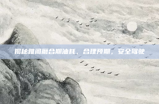 揭秘雅阁磨合期油耗，合理预期，安全驾驶