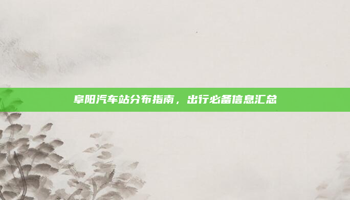 阜阳汽车站分布指南，出行必备信息汇总