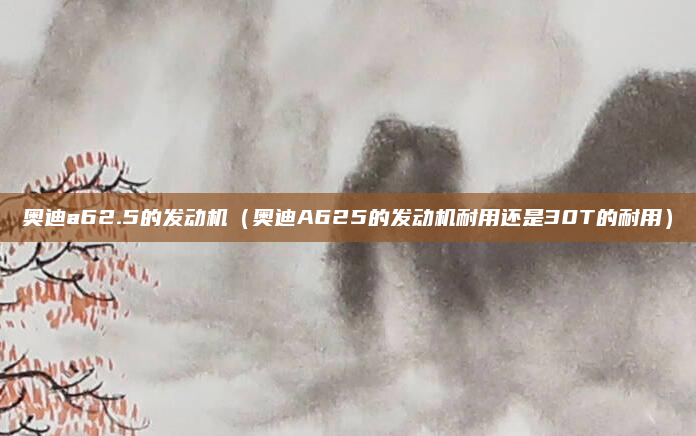奥迪a62.5的发动机（奥迪A625的发动机耐用还是30T的耐用）