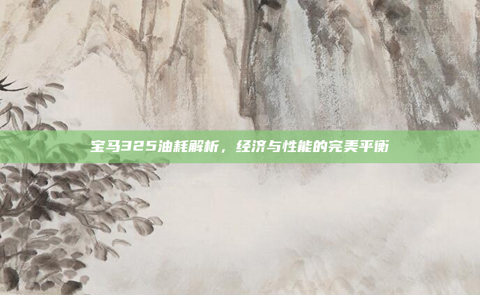 宝马325油耗解析,经济与性能的完美平衡