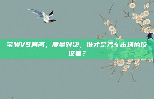 宝骏VS昌河,质量对决,谁才是汽车市场的佼佼者?