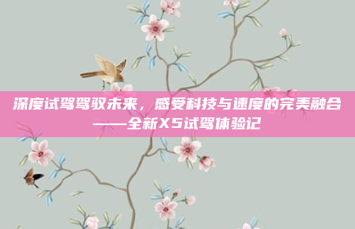 深度试驾驾驭未来，感受科技与速度的完美融合——全新X5试驾体验记