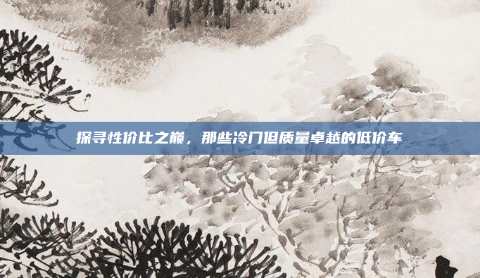 探寻性价比之巅，那些冷门但质量卓越的低价车