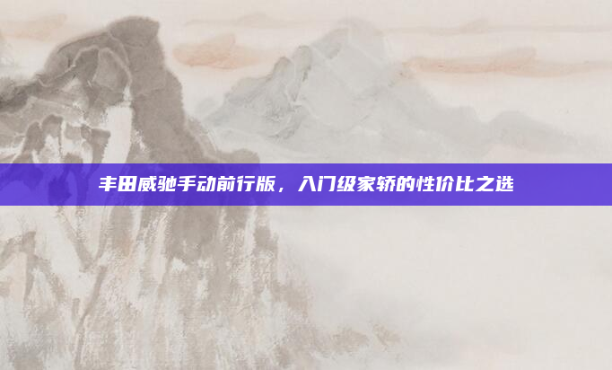 丰田威驰手动前行版，入门级家轿的性价比之选
