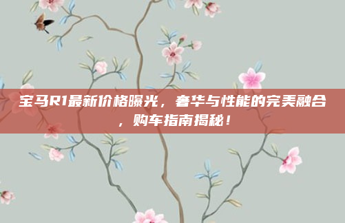 宝马R1最新价格曝光，奢华与性能的完美融合，购车指南揭秘！