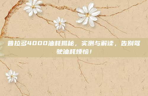 普拉多4000油耗揭秘，实测与解读，告别驾驶油耗烦恼！