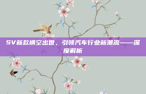 SV新款横空出世，引领汽车行业新潮流——深度解析