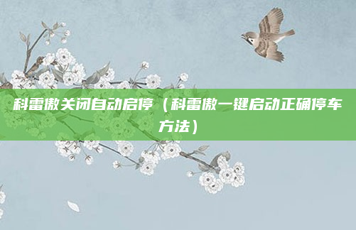科雷傲关闭自动启停（科雷傲一键启动正确停车方法）