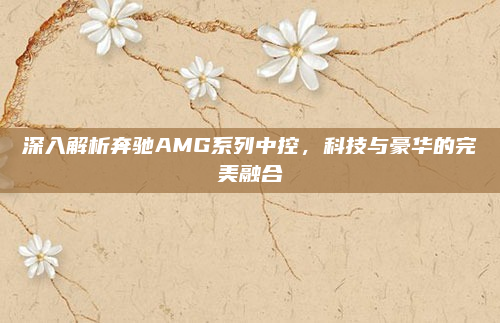 深入解析奔驰AMG系列中控,科技与豪华的完美融合