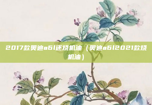 2017款奥迪a6l还烧机油(奥迪a6l2021款烧机油)
