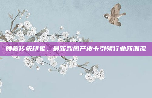 颠覆传统印象，最新款国产皮卡引领行业新潮流