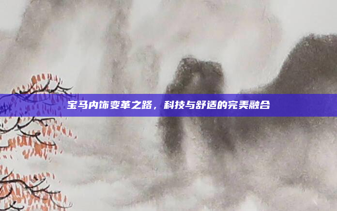 宝马内饰变革之路，科技与舒适的完美融合