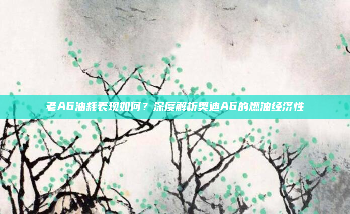 老A6油耗表现如何？深度解析奥迪A6的燃油经济性