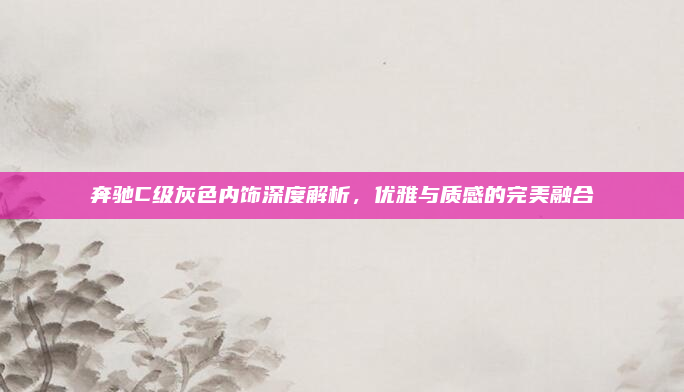 奔驰C级灰色内饰深度解析，优雅与质感的完美融合
