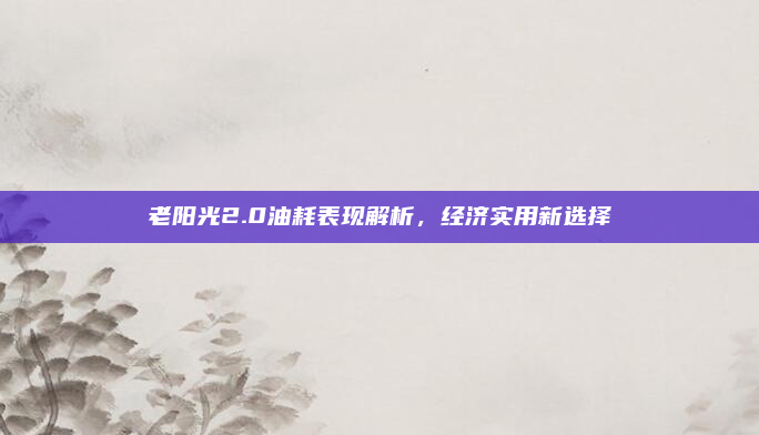 老阳光2.0油耗表现解析,经济实用新选择
