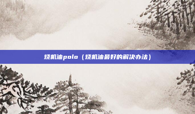烧机油polo(烧机油最好的解决办法)